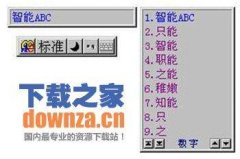 <b>入法绝对是常用的拼音输入东西</b>